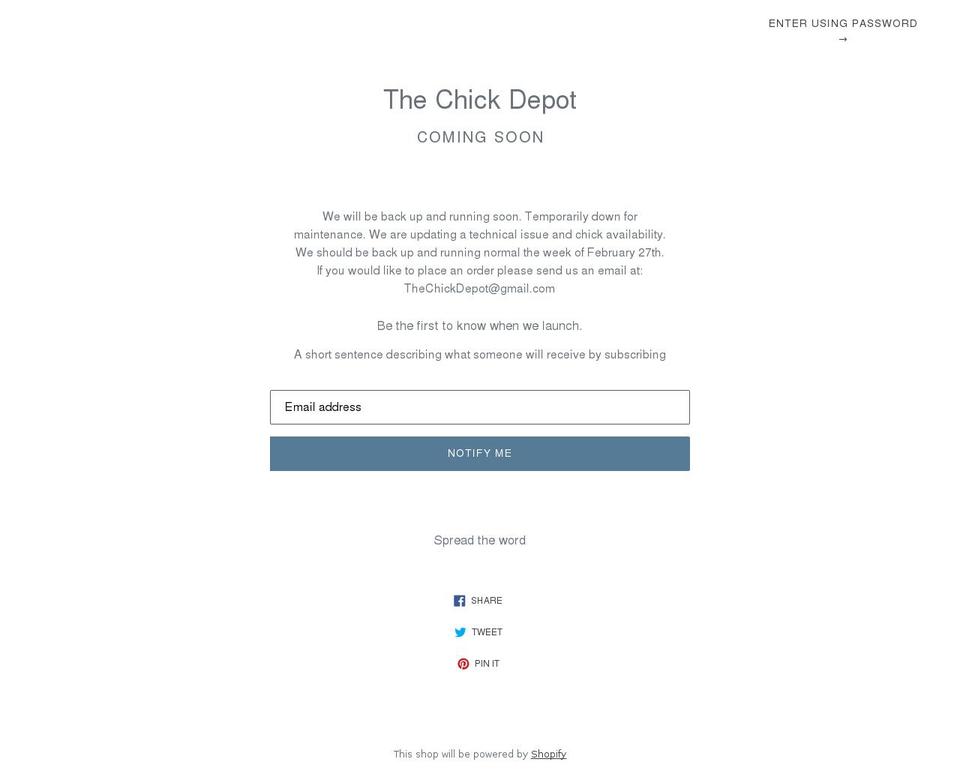 thechickdepot.com shopify website screenshot