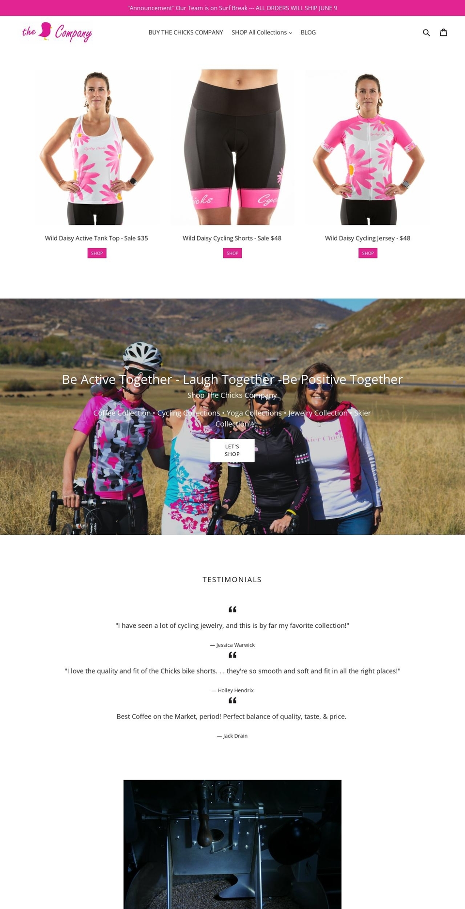 thechickscompany.com shopify website screenshot