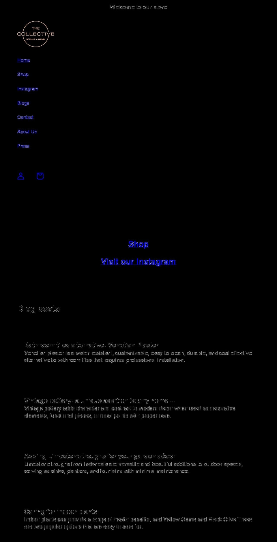 thecollectiveshop.net shopify website screenshot