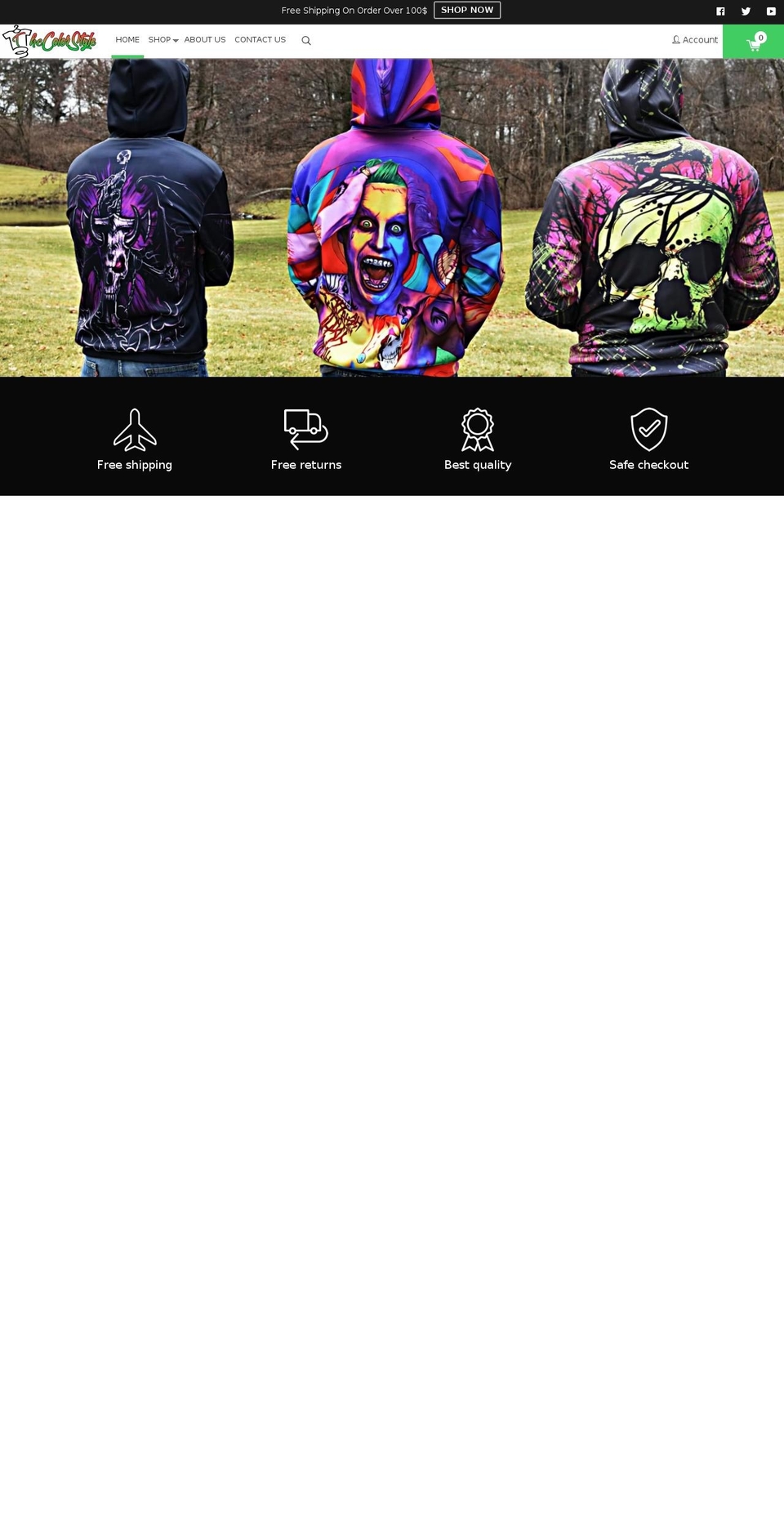 thecolorstyle.com — Shopify storefront screenshot