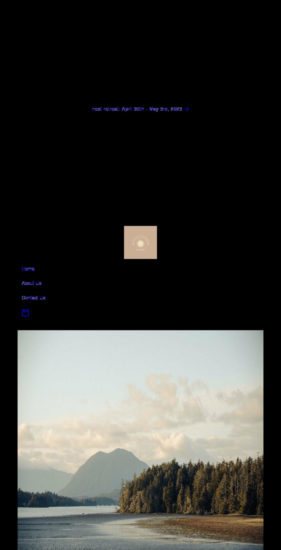 theconsciouscoach.com shopify website screenshot