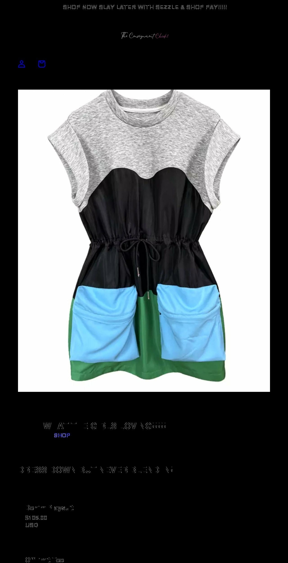 theconsignmentchick.net shopify website screenshot