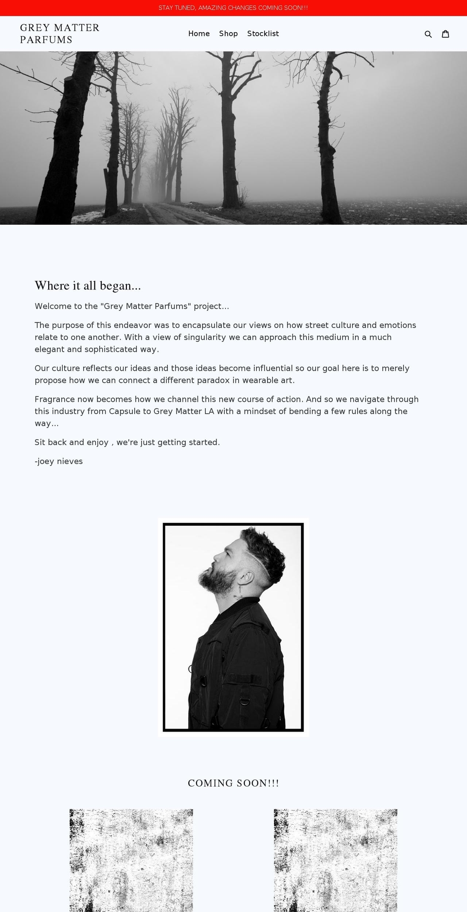 thecooljoey.com — Shopify storefront screenshot