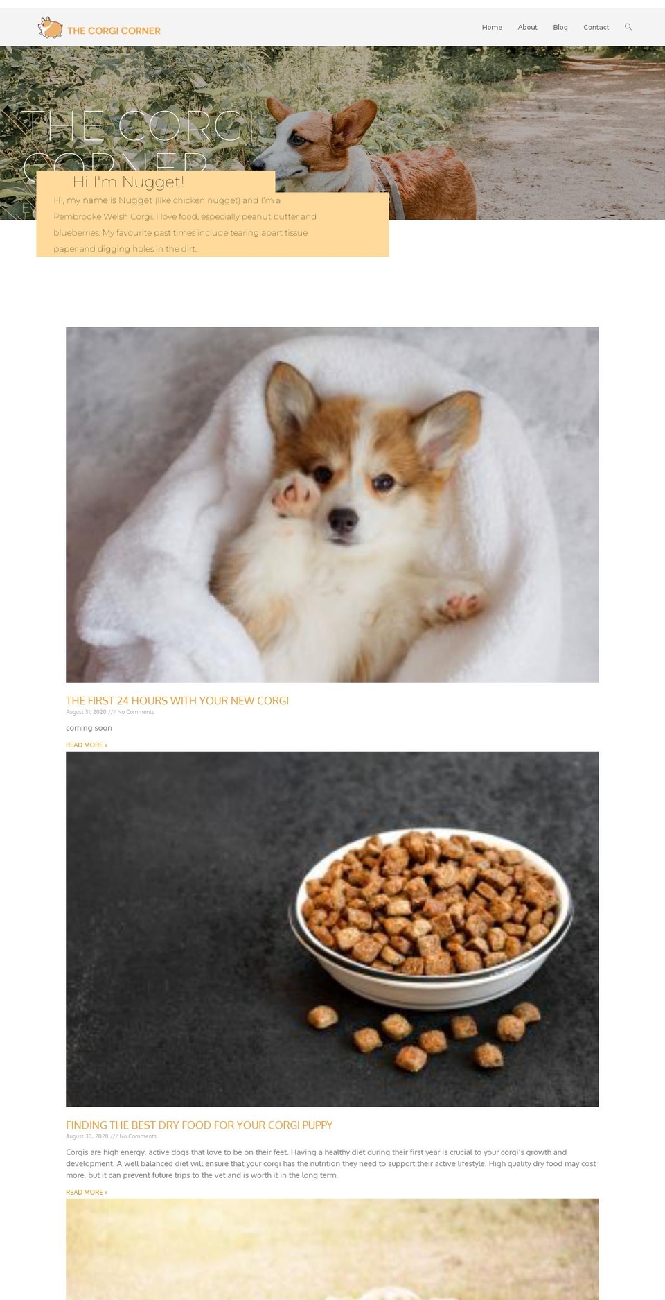 thecorgicorner.com — Shopify storefront screenshot