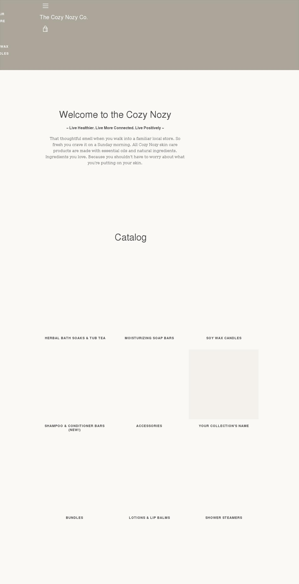 thecozynozyco.com shopify website screenshot