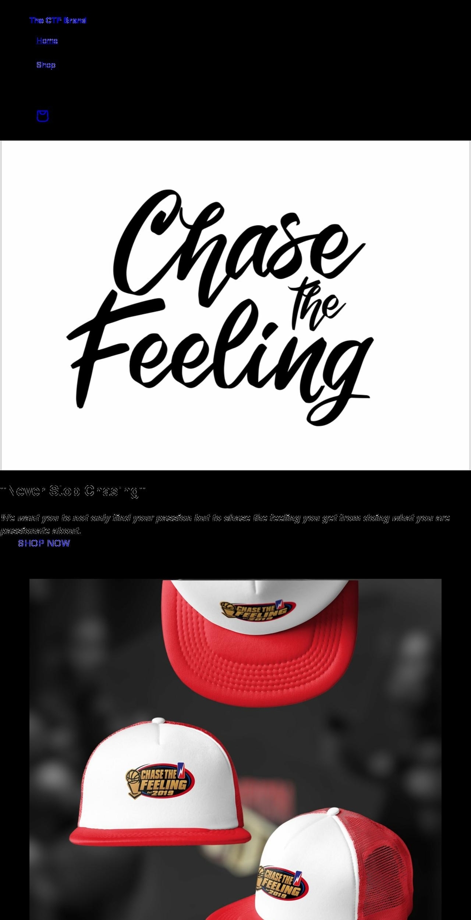 thectfbrand.com shopify website screenshot