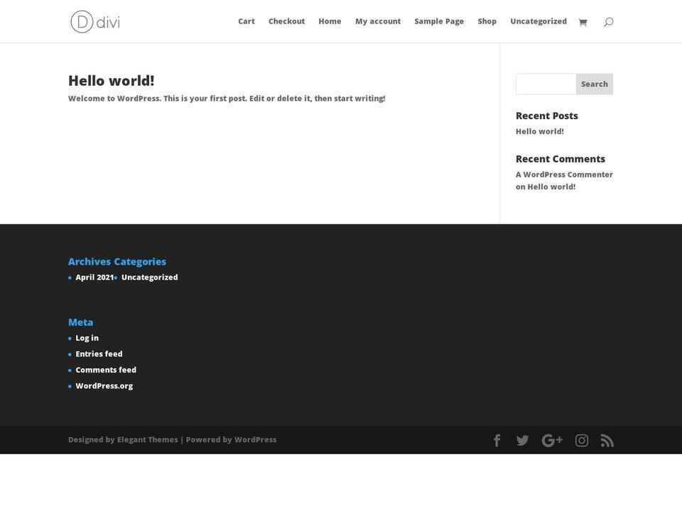 thedevelopershop.com shopify website screenshot
