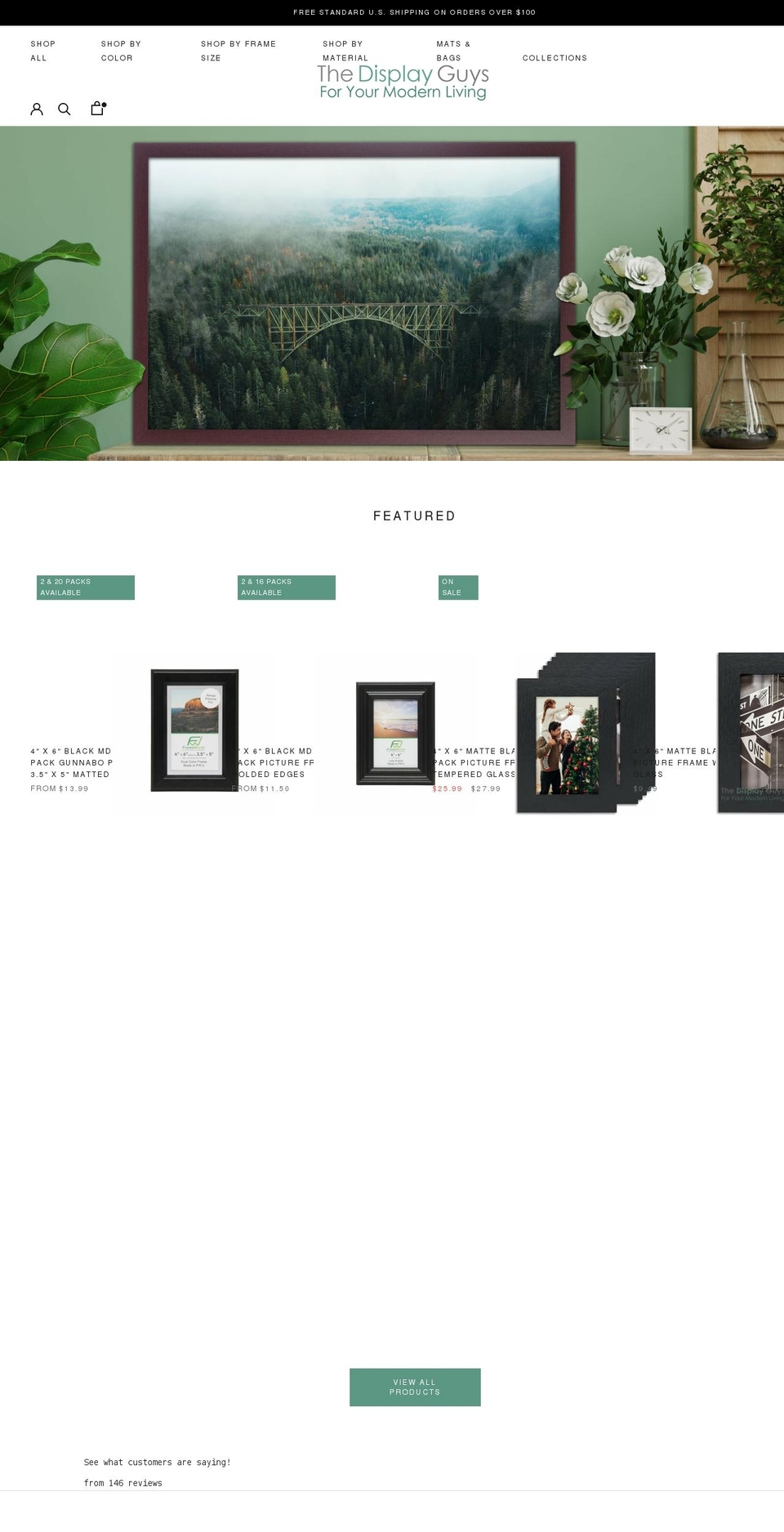 thedisplayguys.com shopify website screenshot