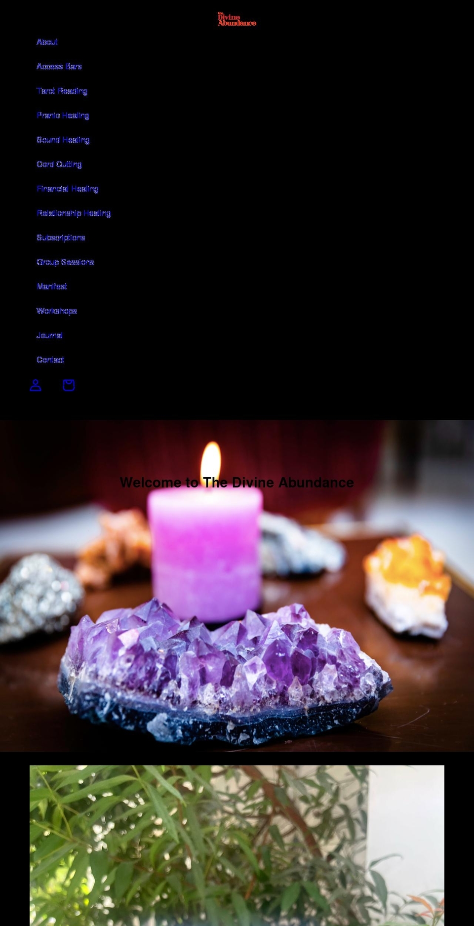 thedivineabundance.com shopify website screenshot