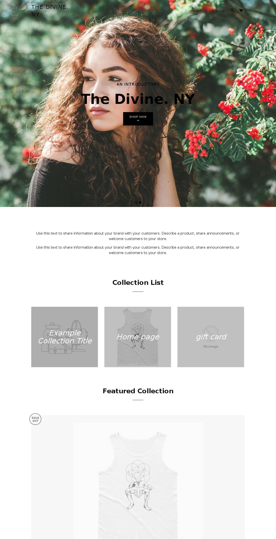 thedivineny.com — Shopify storefront screenshot