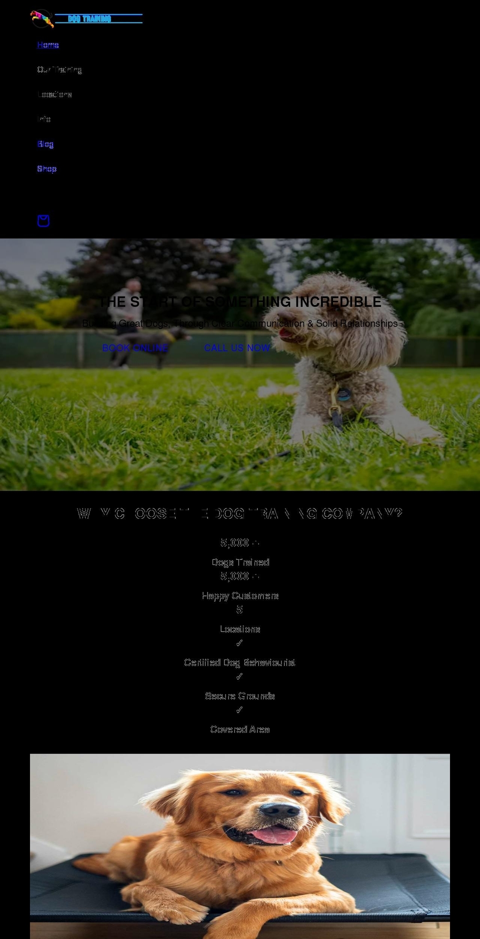 thedogtrainingcompany.uk shopify website screenshot