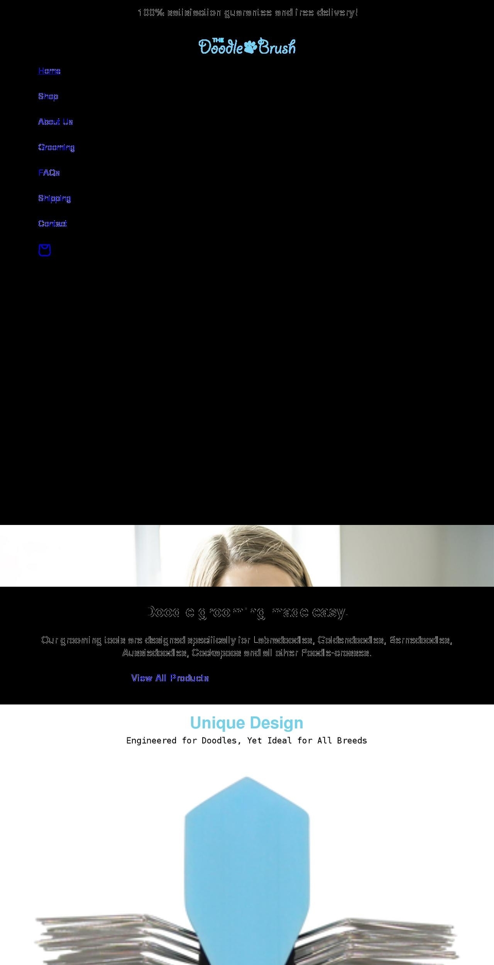 thedoodlebrush.com shopify website screenshot