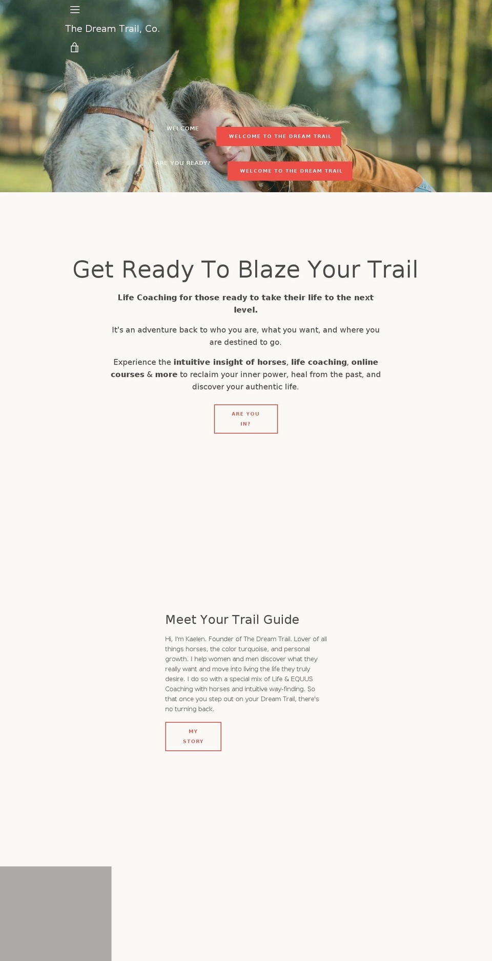 thedreamtrail.com — Shopify storefront screenshot