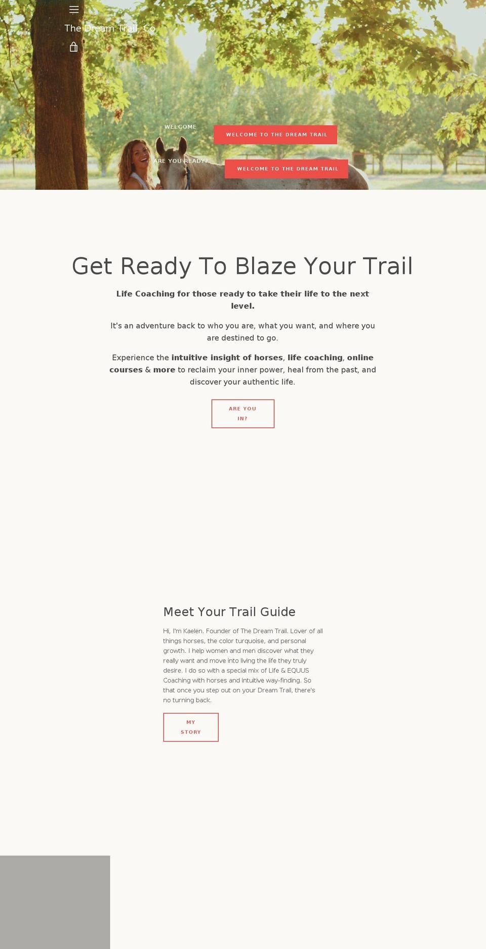 thedreamtrail.info shopify website screenshot