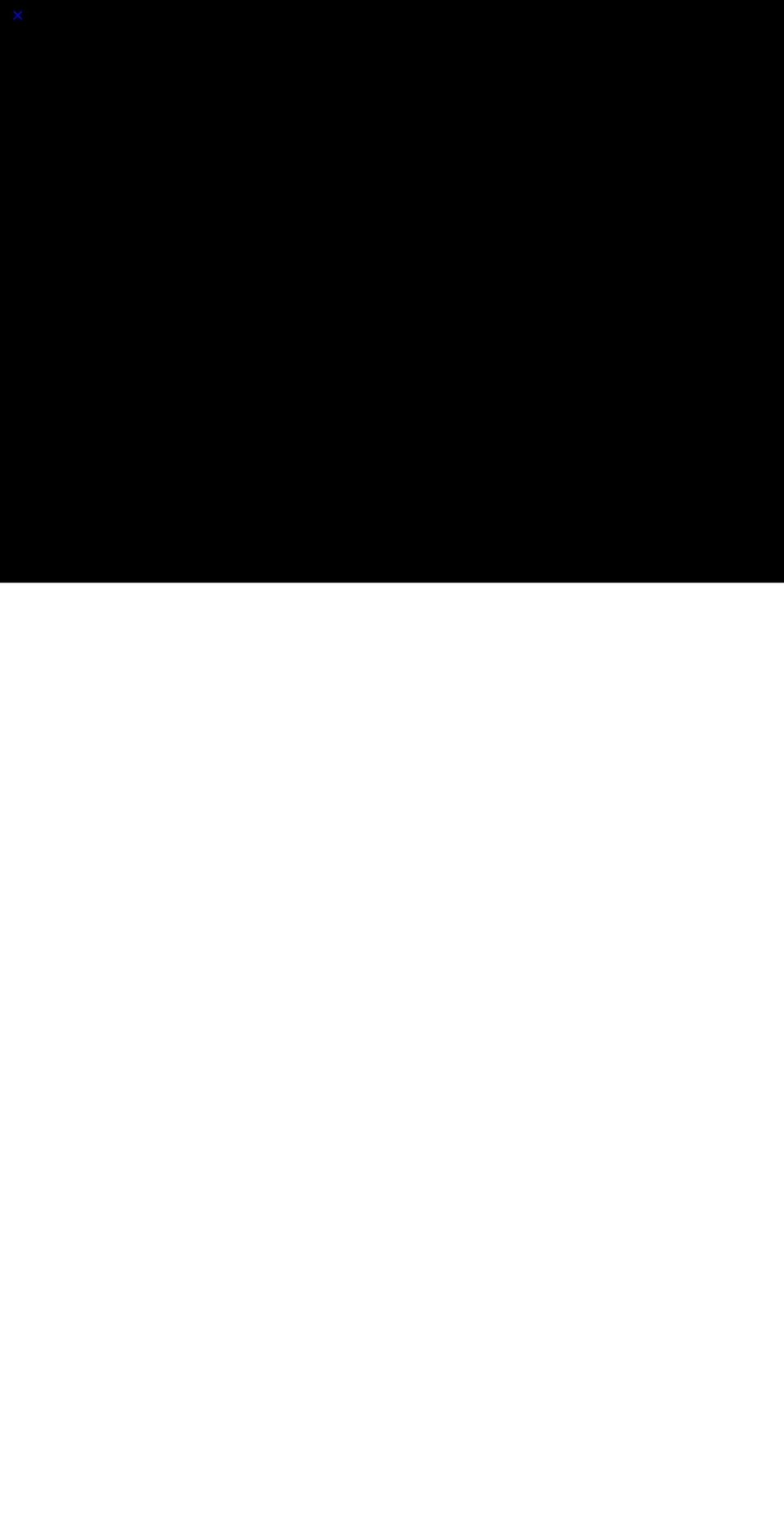 thedresscloset.com shopify website screenshot