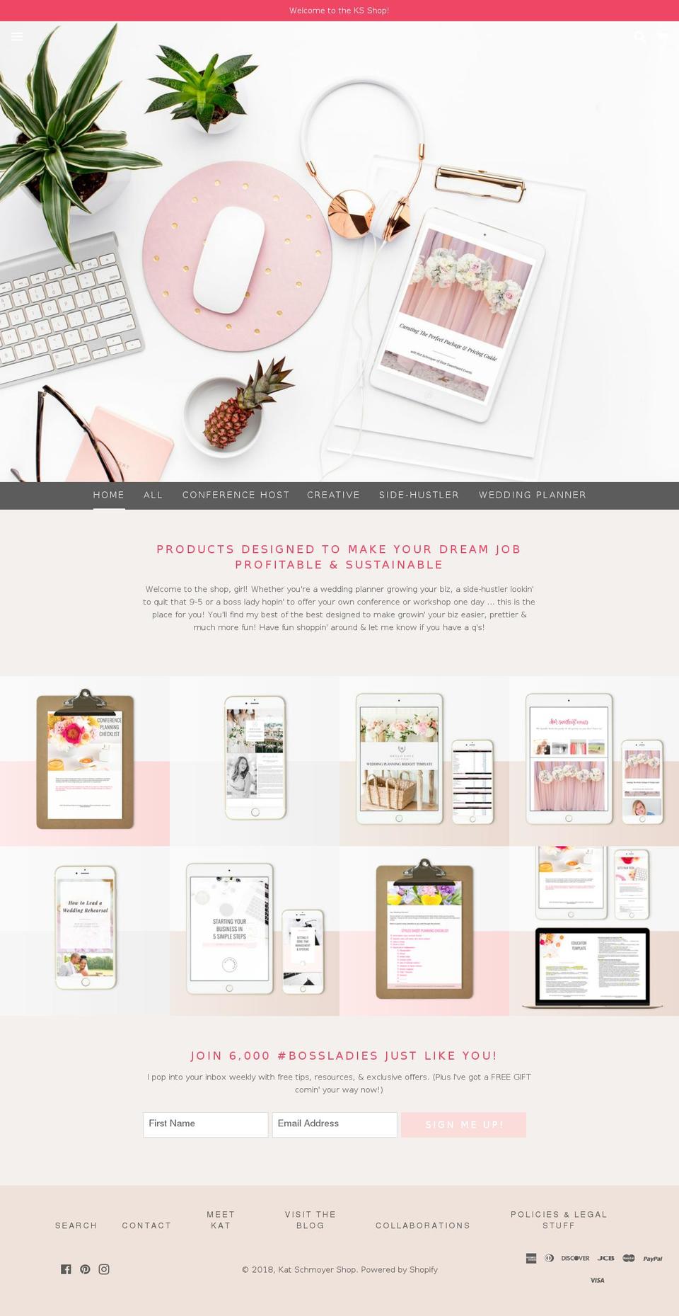 thedseshop.com shopify website screenshot