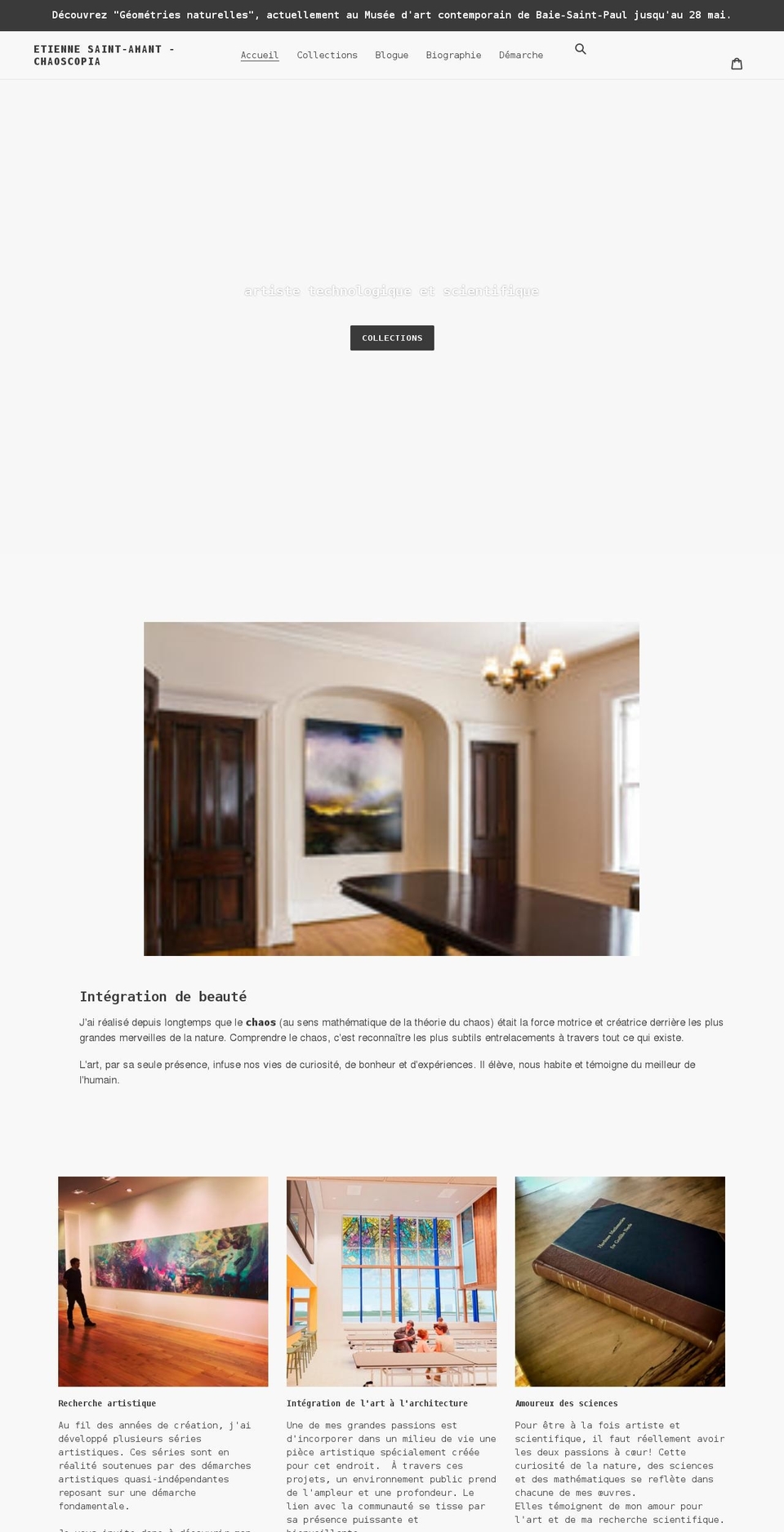 thedualists.com shopify website screenshot