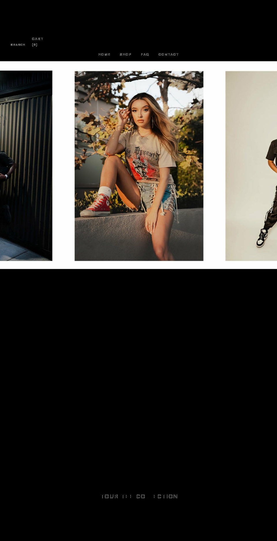 thedynastymxxii.com shopify website screenshot