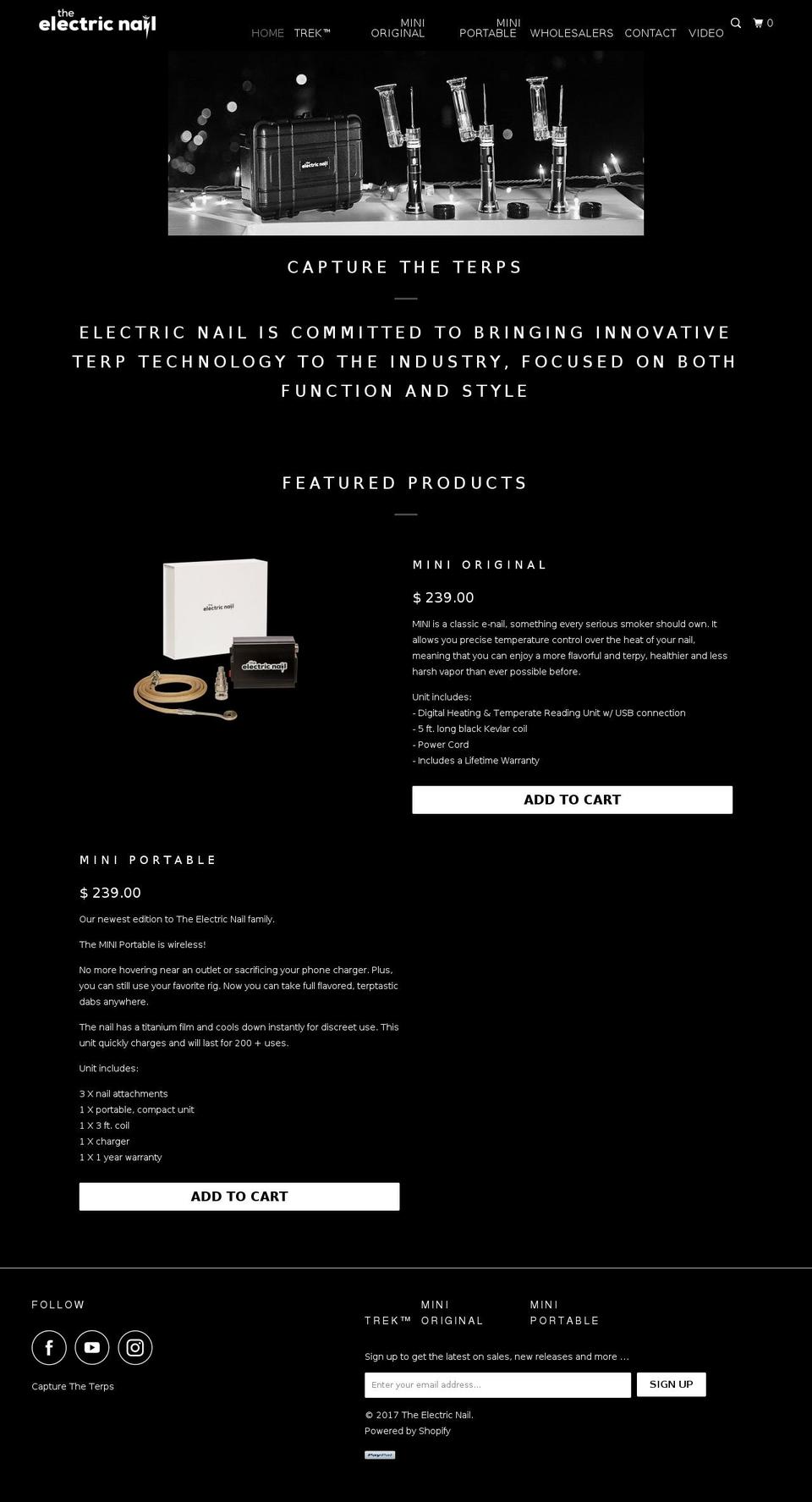 theelectricnail.com shopify website screenshot