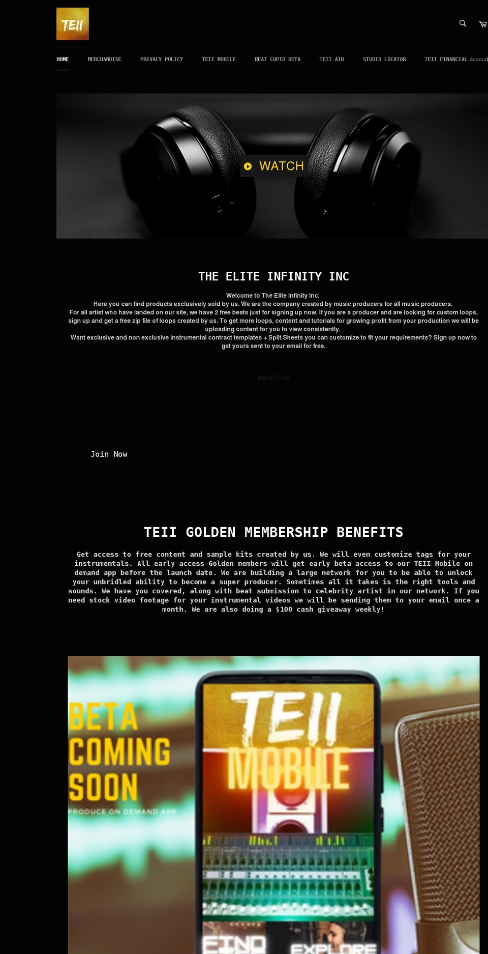 theeliteinfinity.com shopify website screenshot