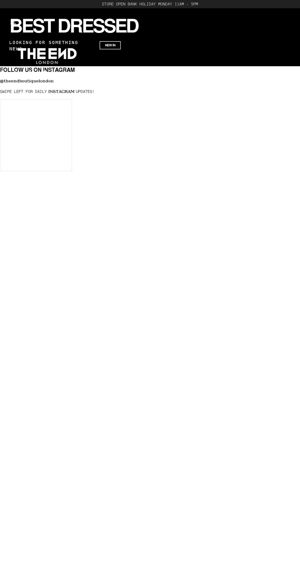 theendboutique.com shopify website screenshot