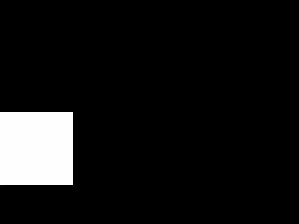 theentireworld.com — Shopify storefront screenshot