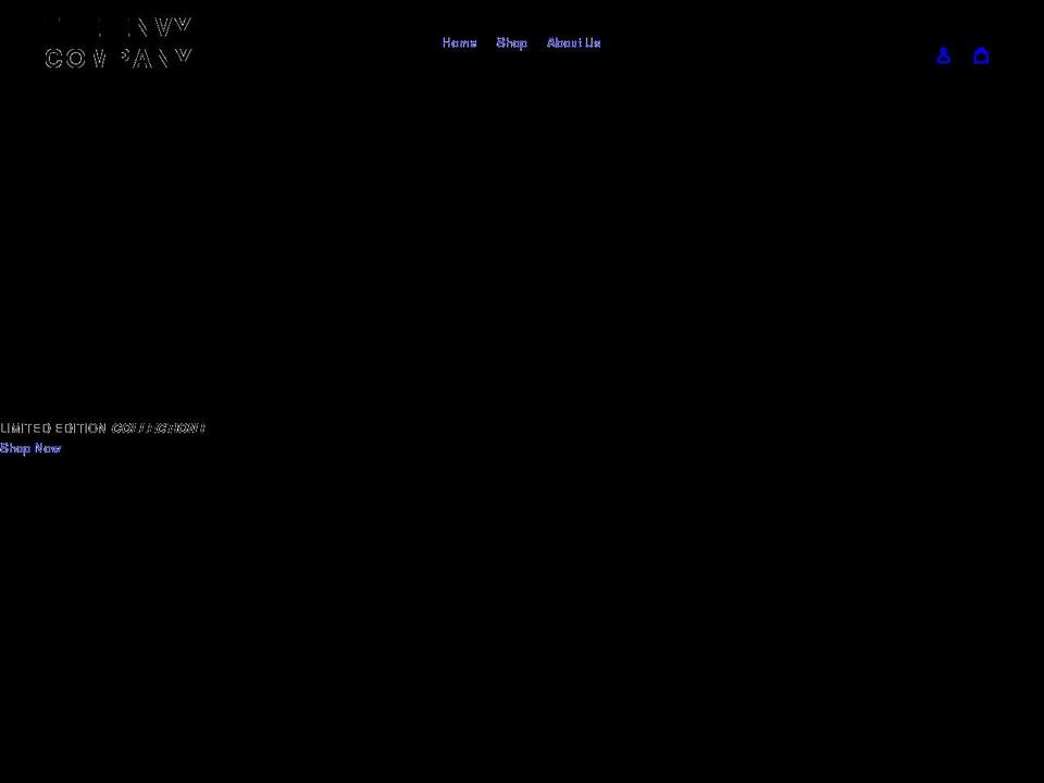 theenvycompany.com shopify website screenshot