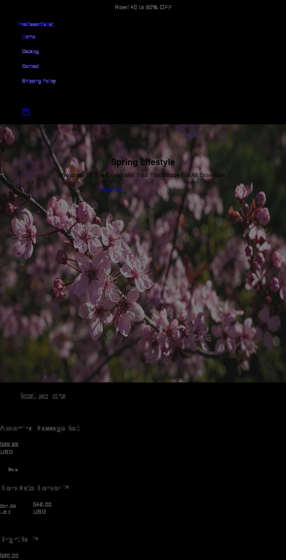 theessentialist.net shopify website screenshot