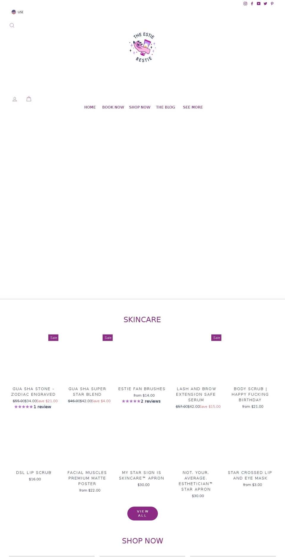 theestiebestie.com shopify website screenshot