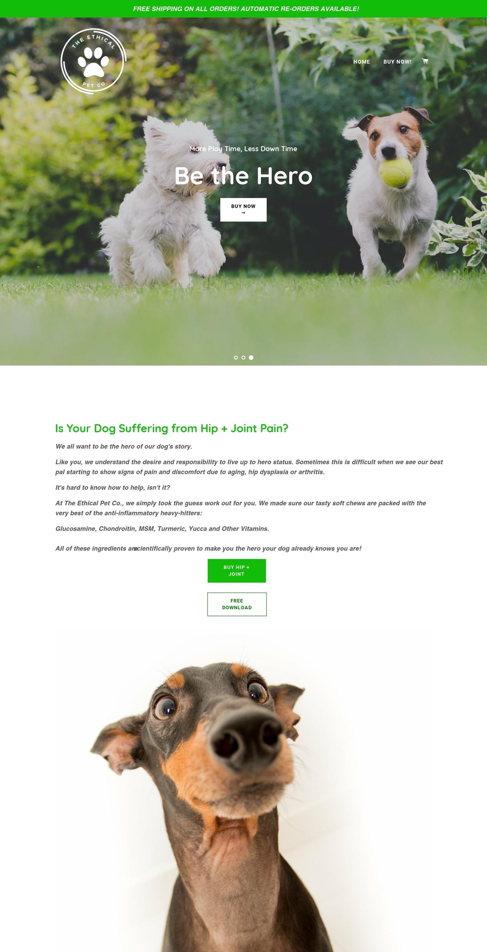 theethicalpetco.com shopify website screenshot