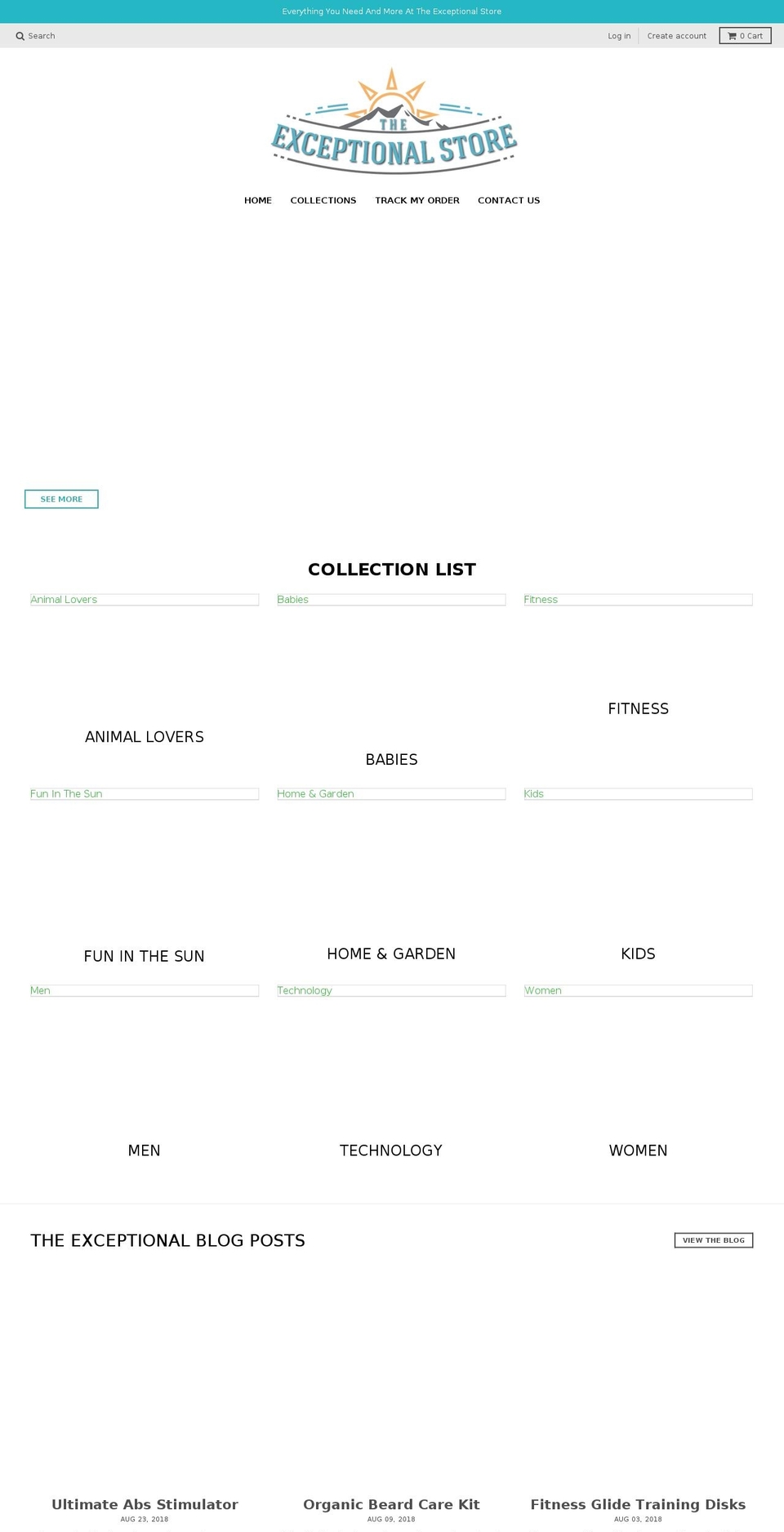 theexceptionalstore.com — Shopify storefront screenshot