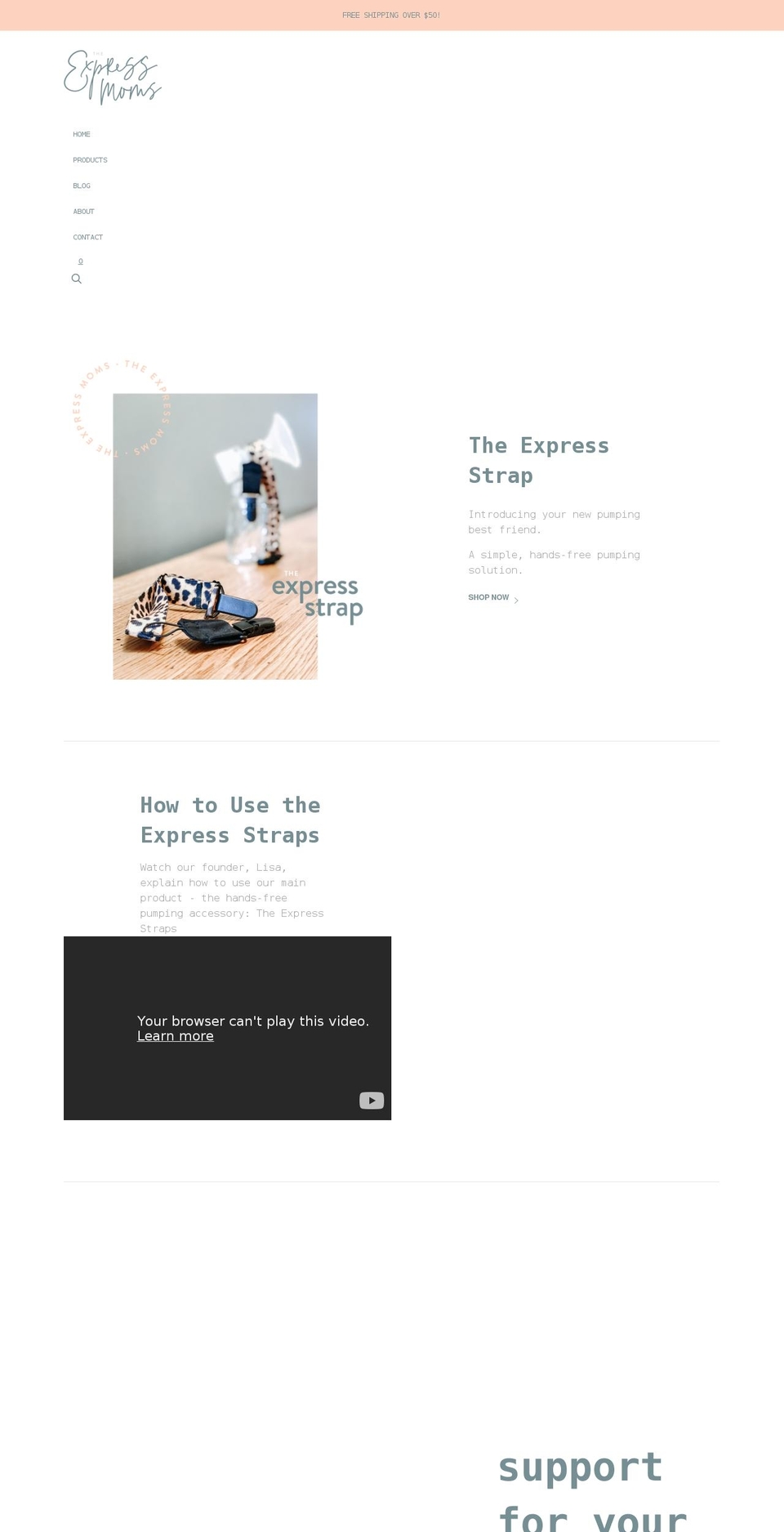theexpressmoms.com shopify website screenshot