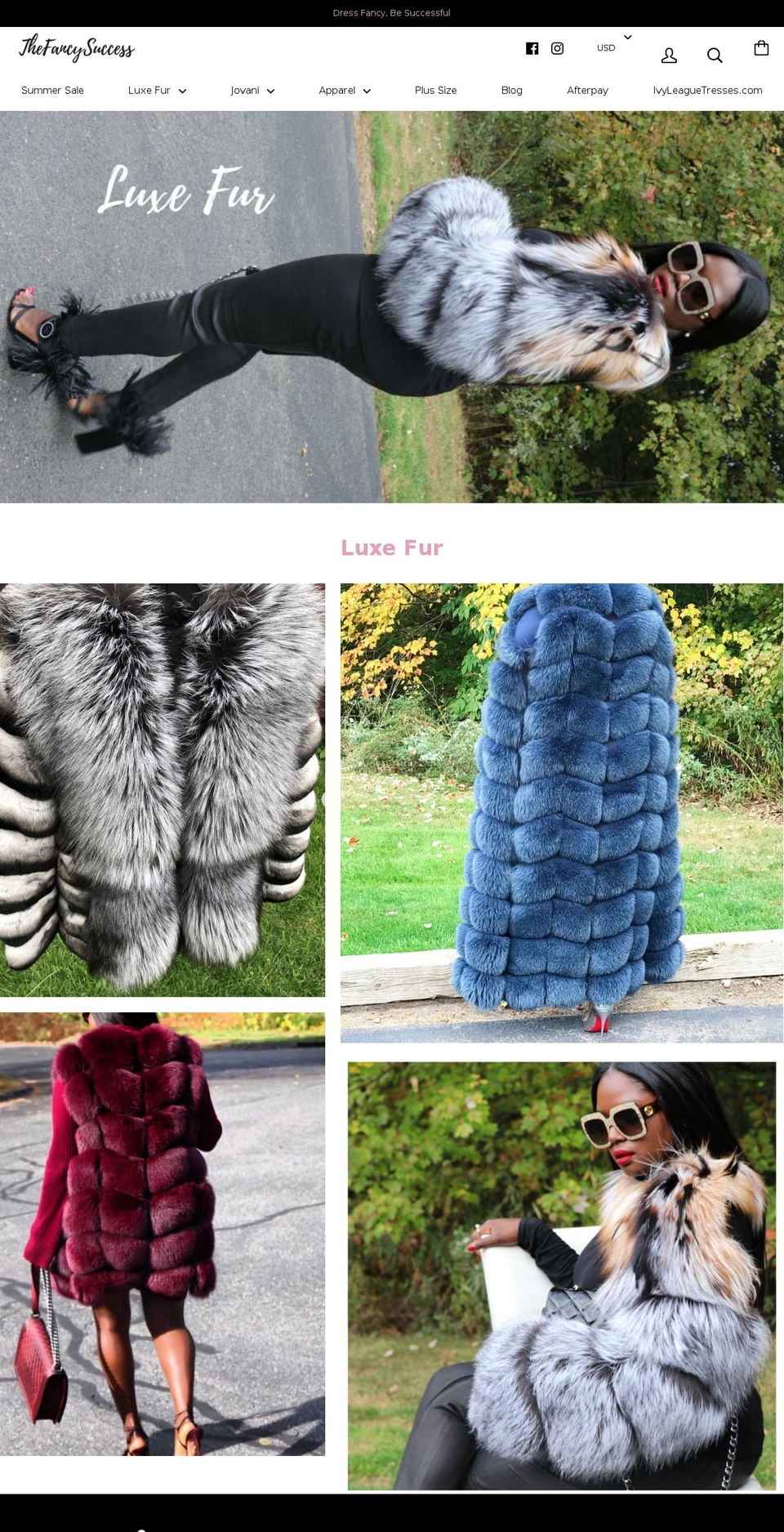 thefancysuccess.com shopify website screenshot