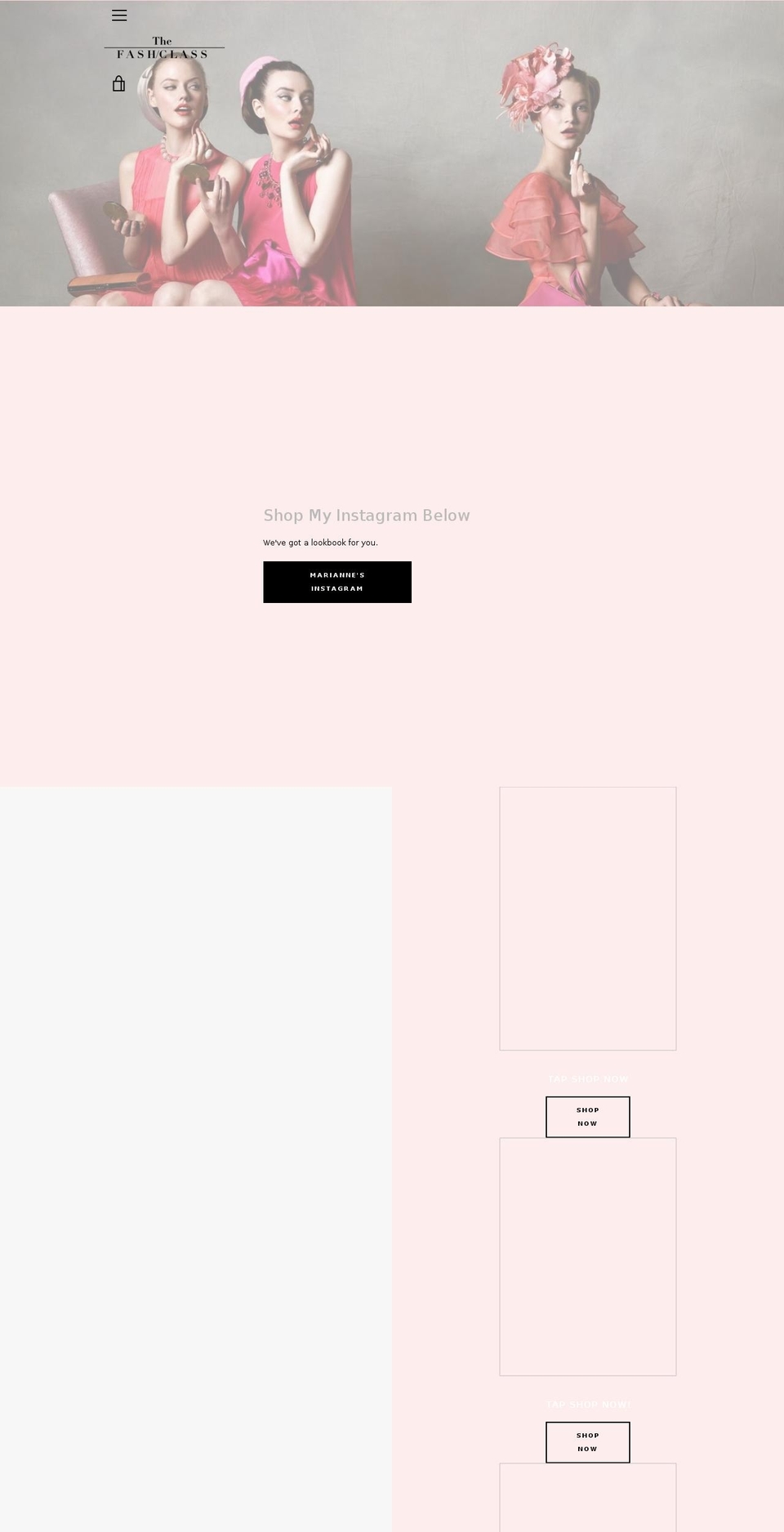 thefashclass.com — Shopify storefront screenshot
