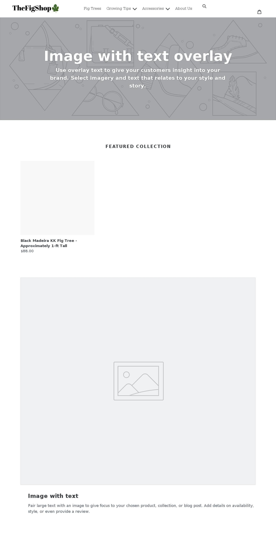 thefigshop.com shopify website screenshot