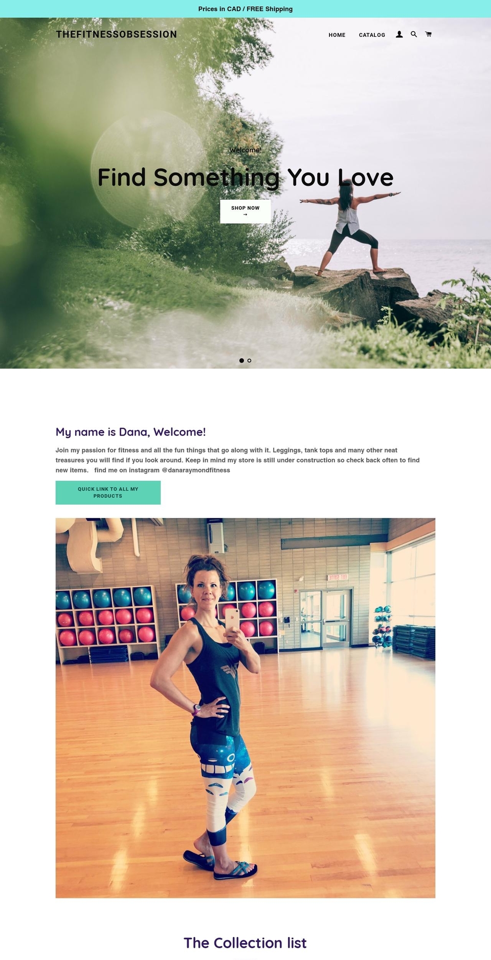 thefitnessobsession.com — Shopify storefront screenshot