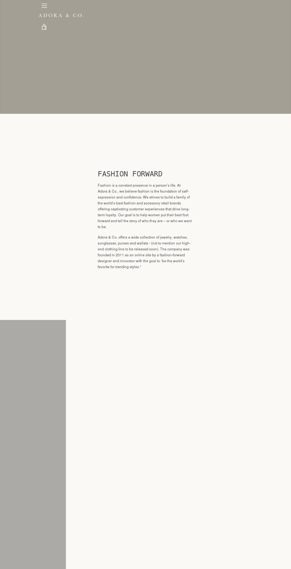 thefitnessoutfitters.com — Shopify storefront screenshot