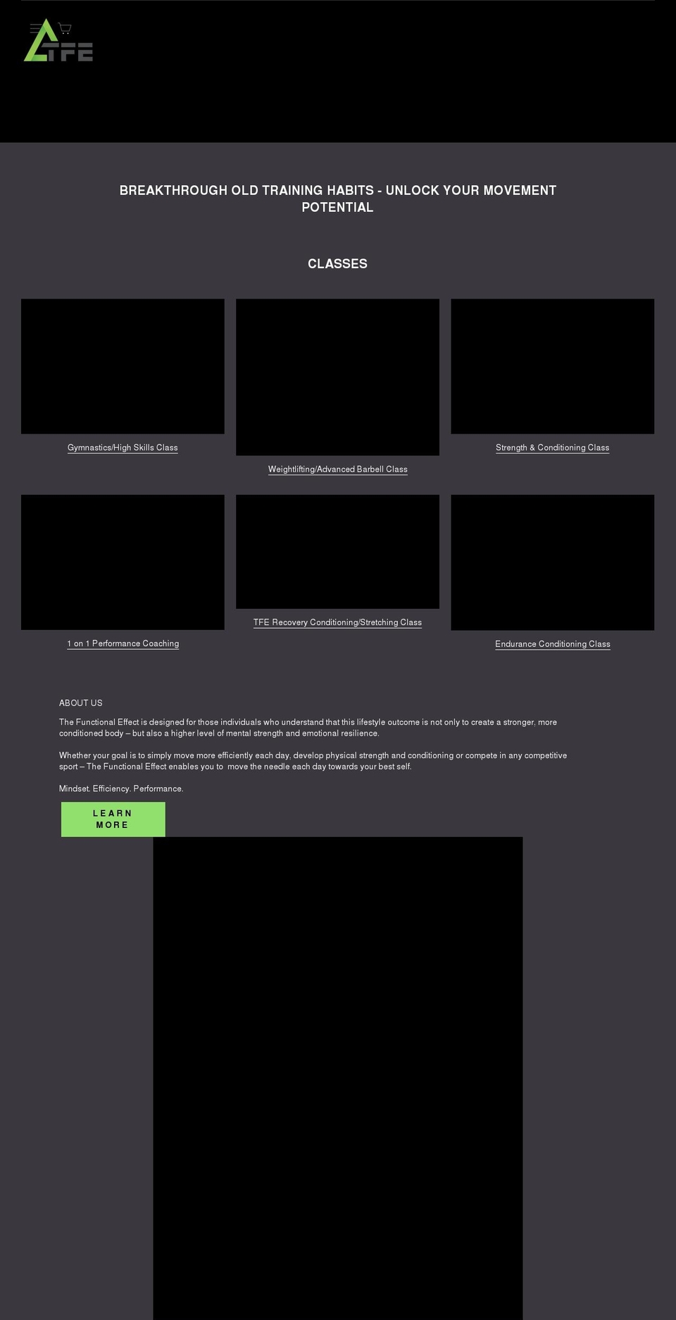 thefunctionaleffect.com shopify website screenshot