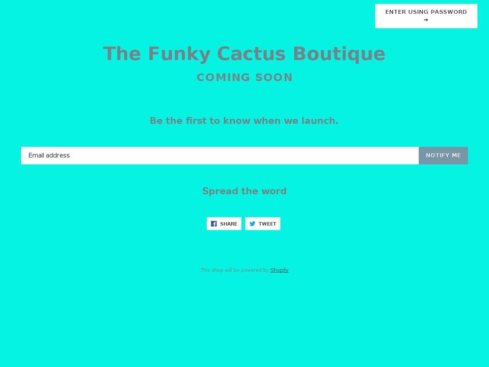 thefunkycactusboutique.com — Shopify storefront screenshot