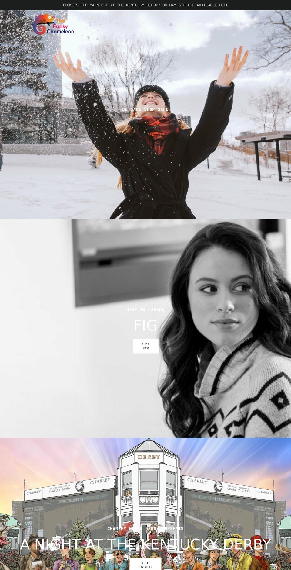 thefunkychameleon.com shopify website screenshot