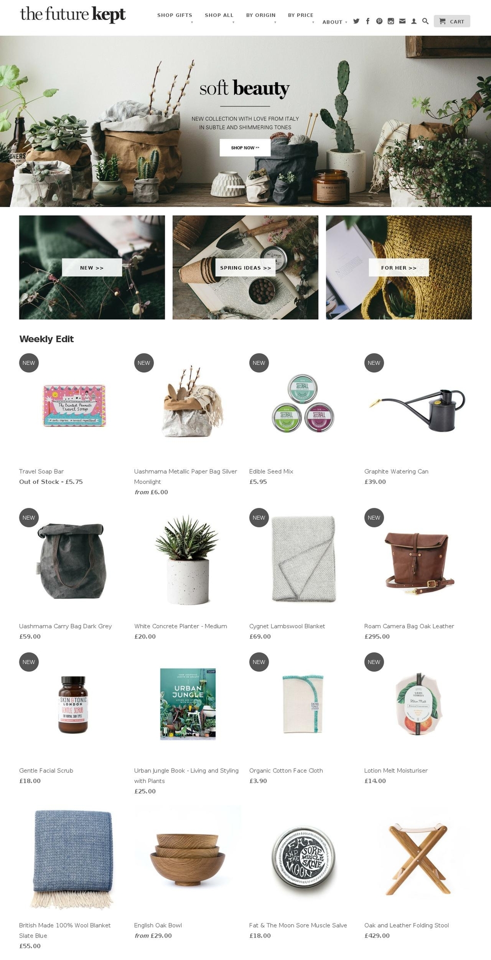 thefuturekept.com shopify website screenshot