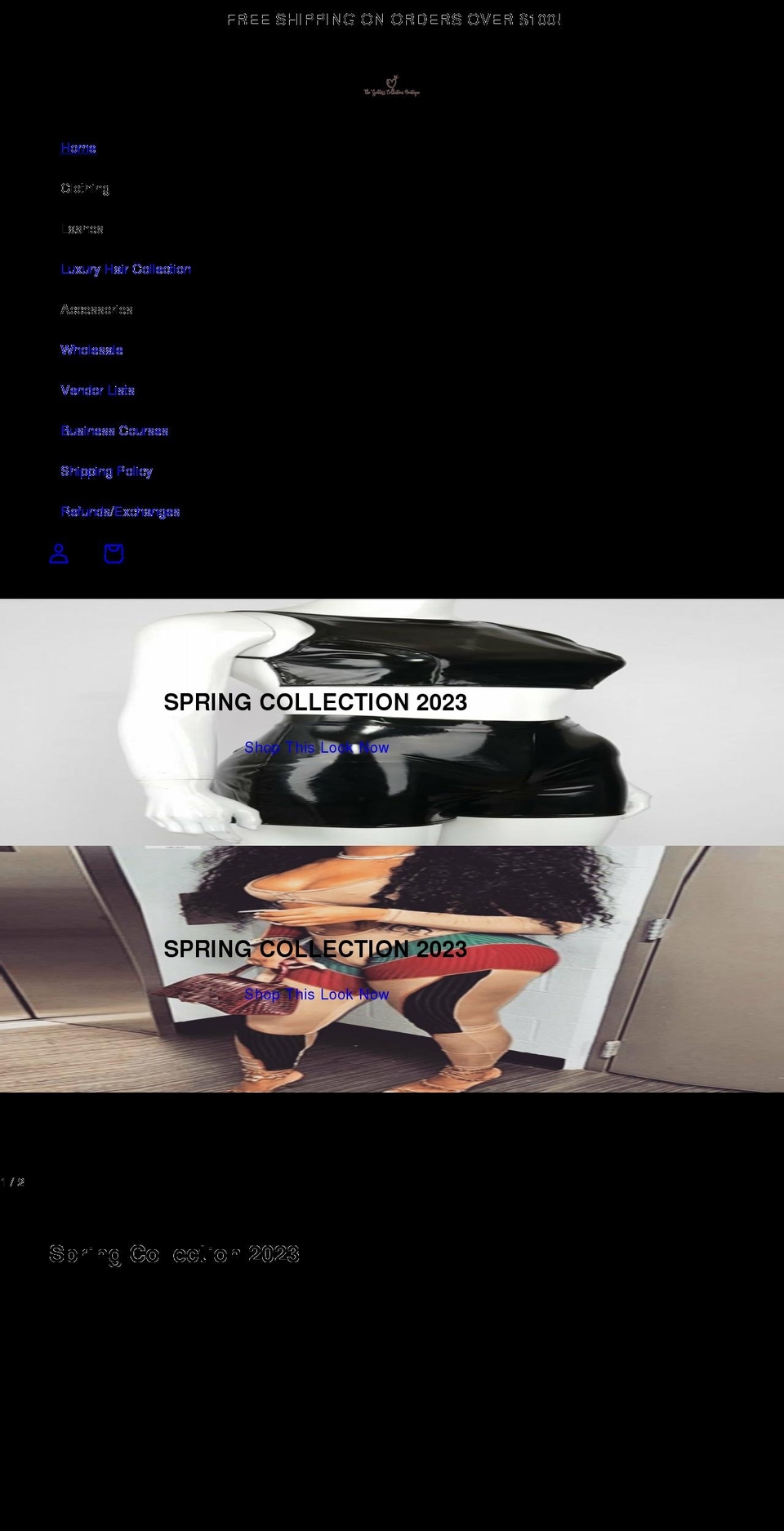 thegoddesscollectionboutique.com shopify website screenshot