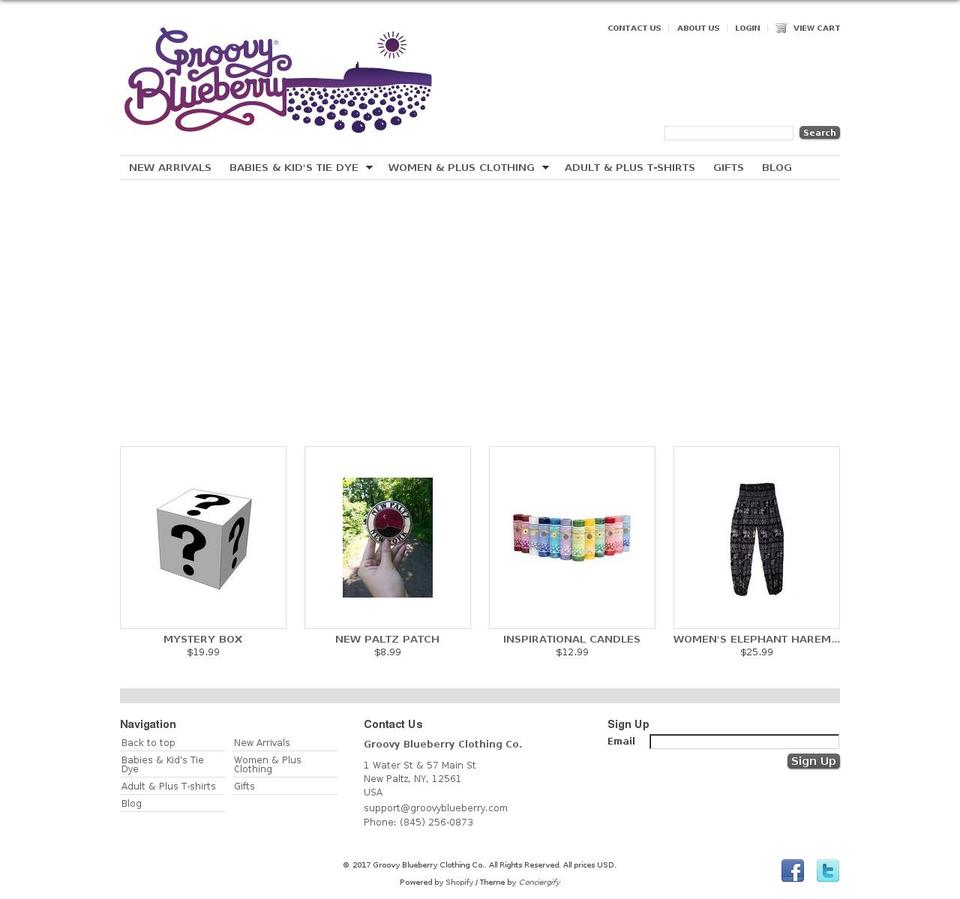 Vanity Shopify theme site example thegroovyblueberry.com