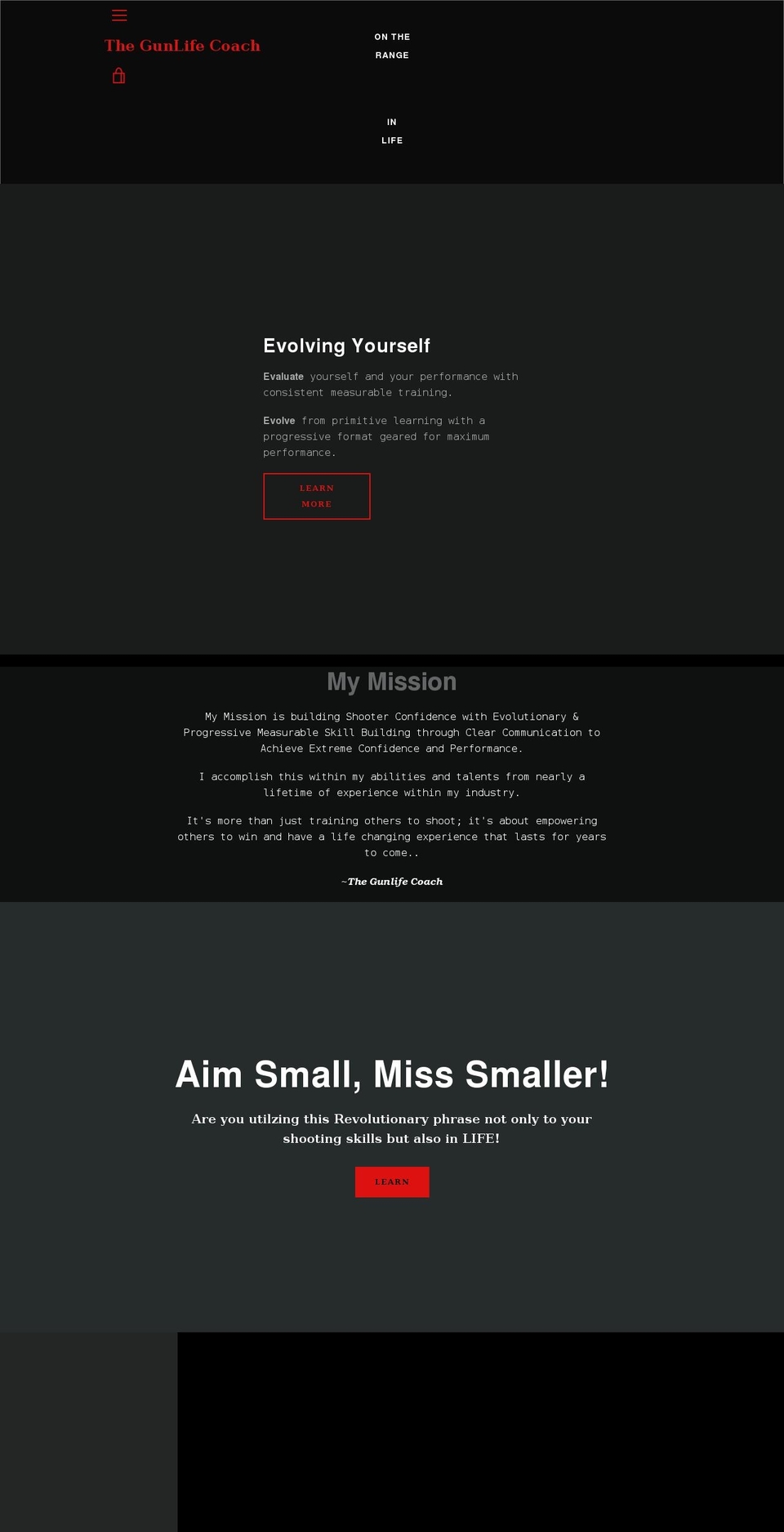 thegunlifecoach.com shopify website screenshot