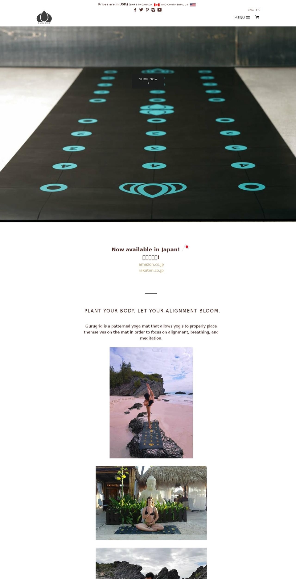 thegurugrid.net shopify website screenshot