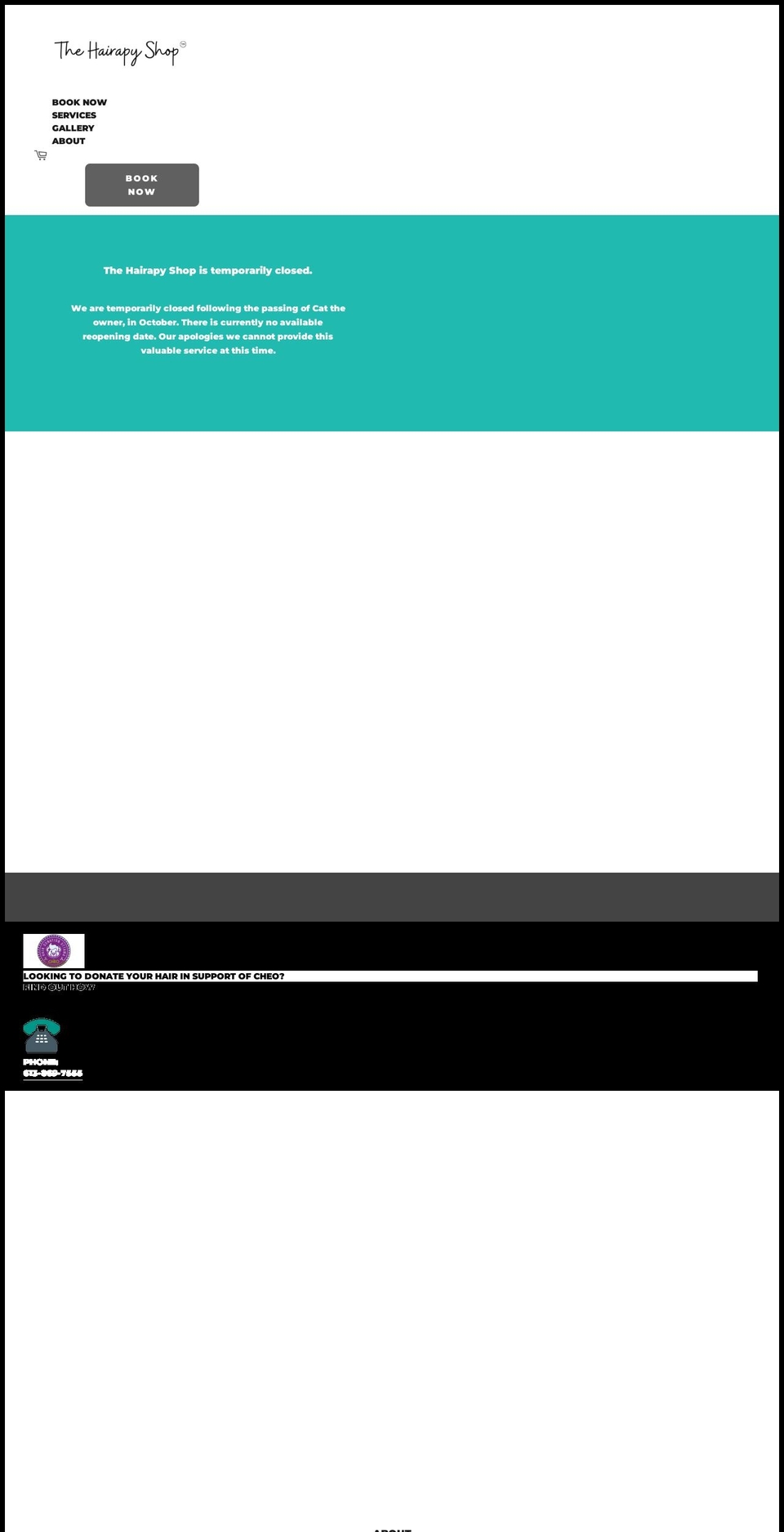 thehairapyshop.com shopify website screenshot