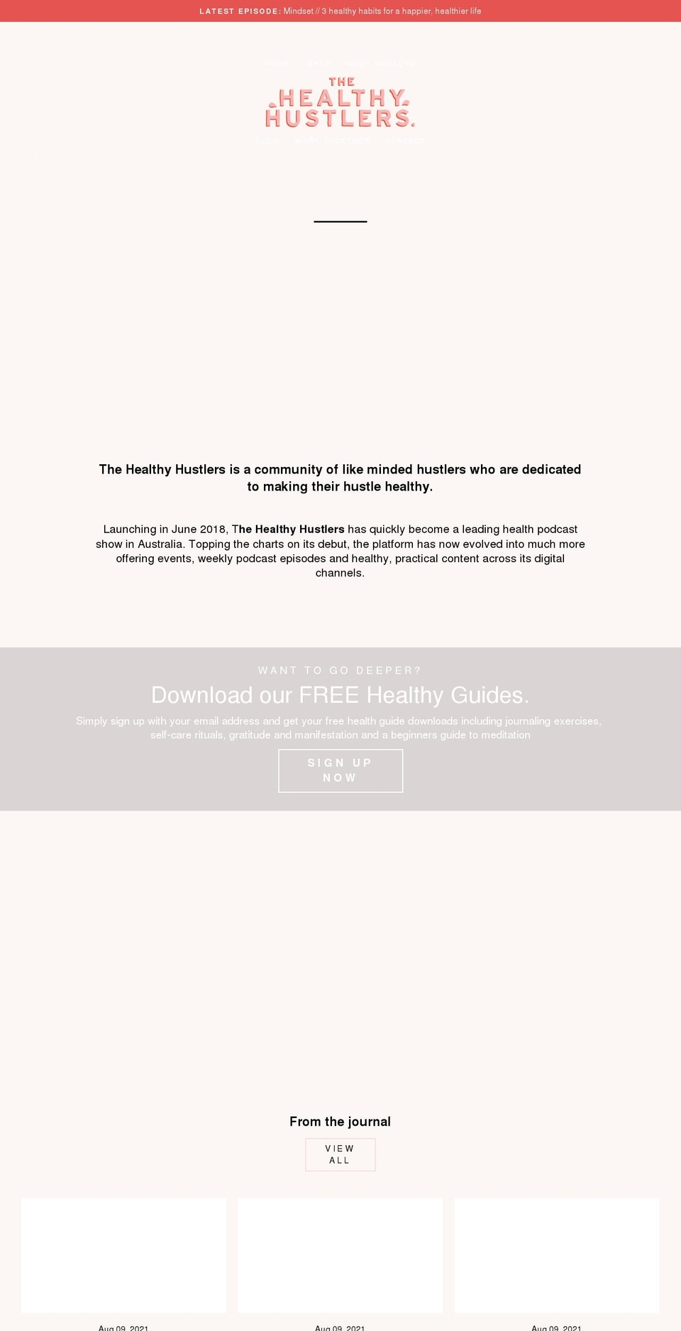 thehealthyhustlers.com — Shopify storefront screenshot