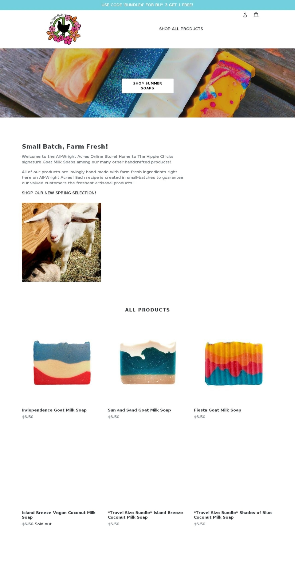 thehippiechicks.com — top Shopify store