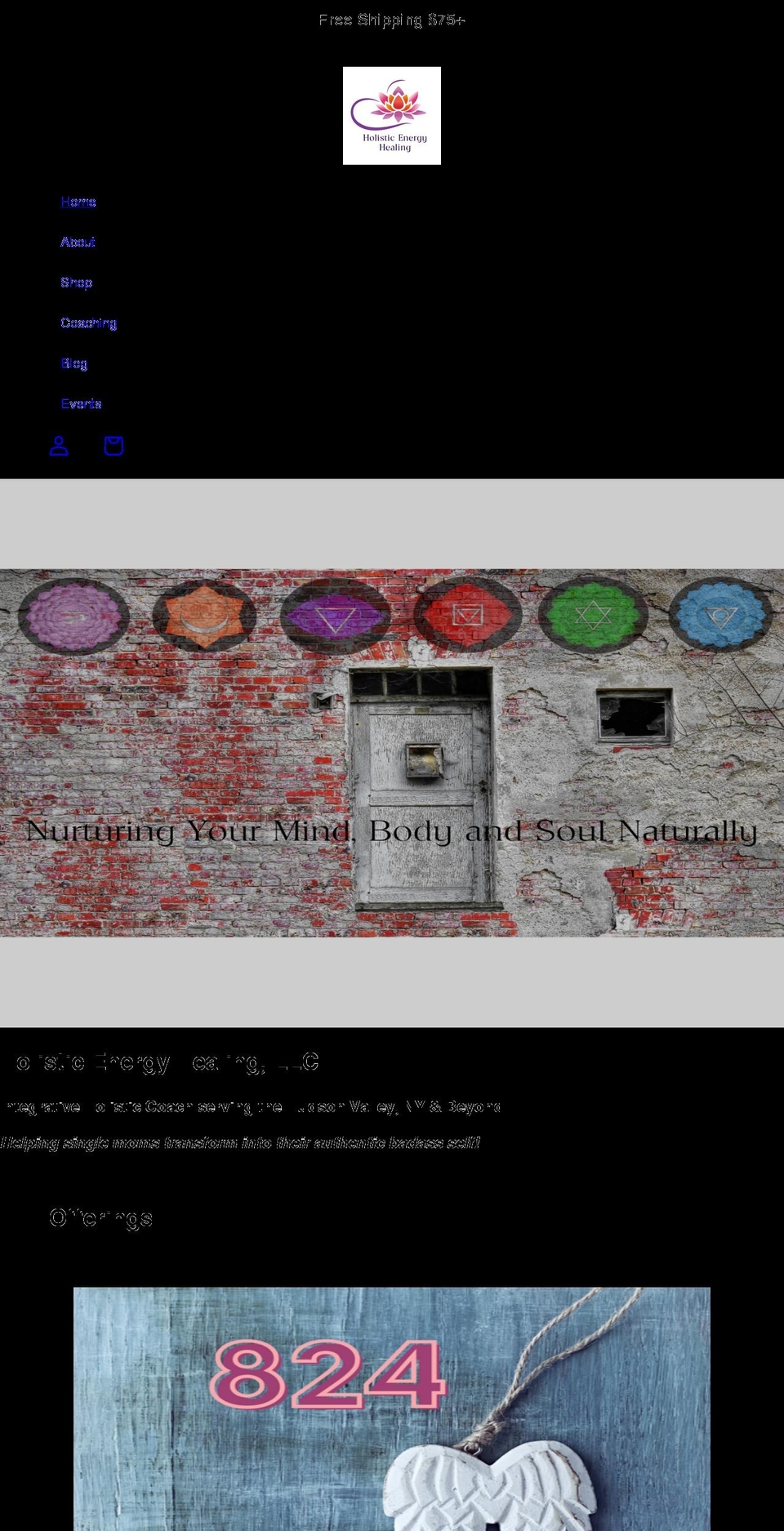 theholisticenergyhealing.com shopify website screenshot