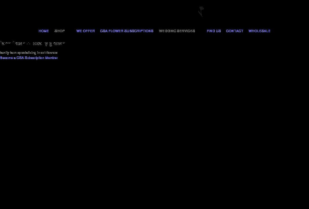 thehollandflowerfarm.com shopify website screenshot